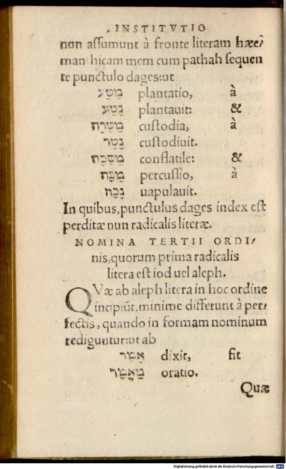 Image