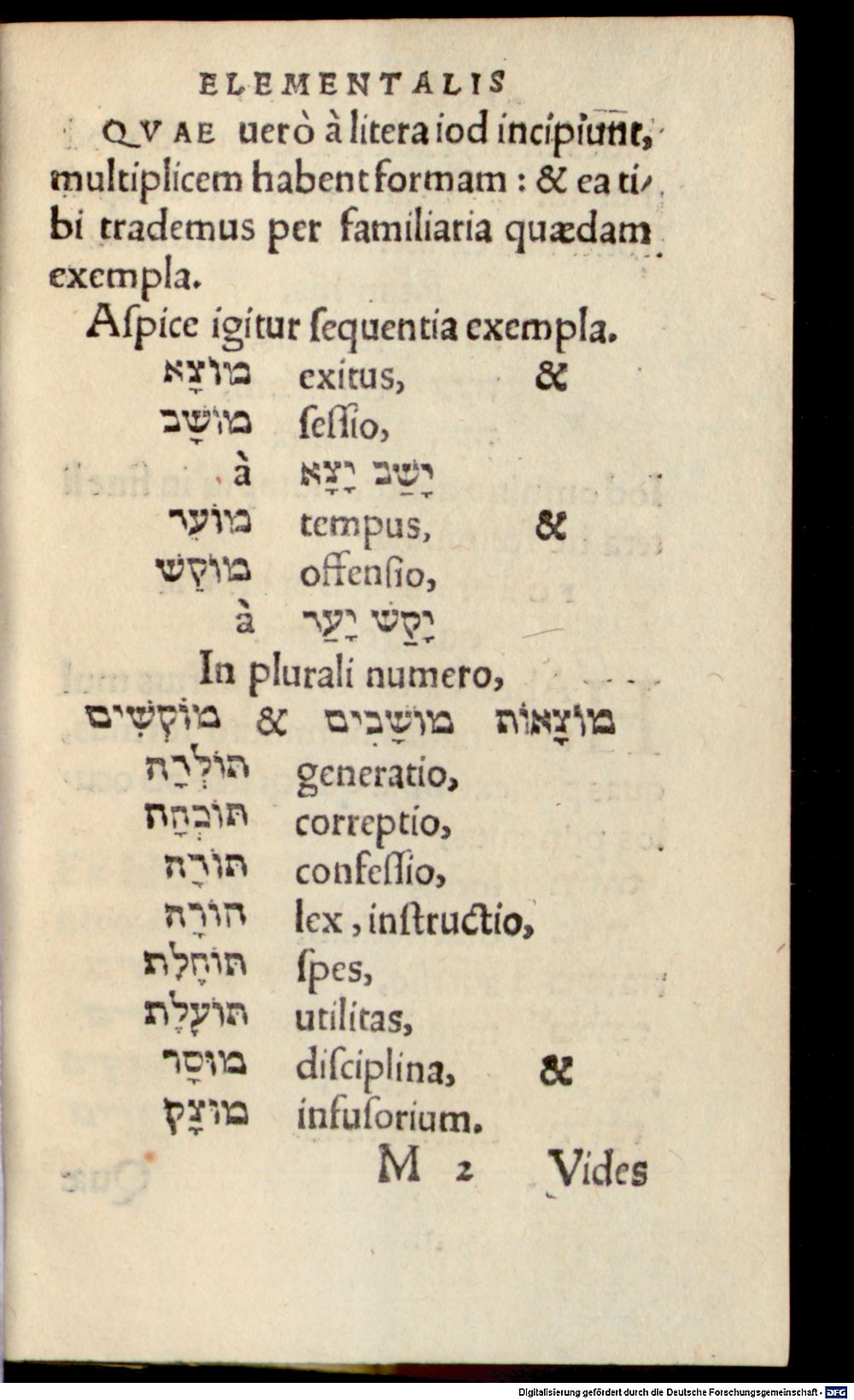 Image