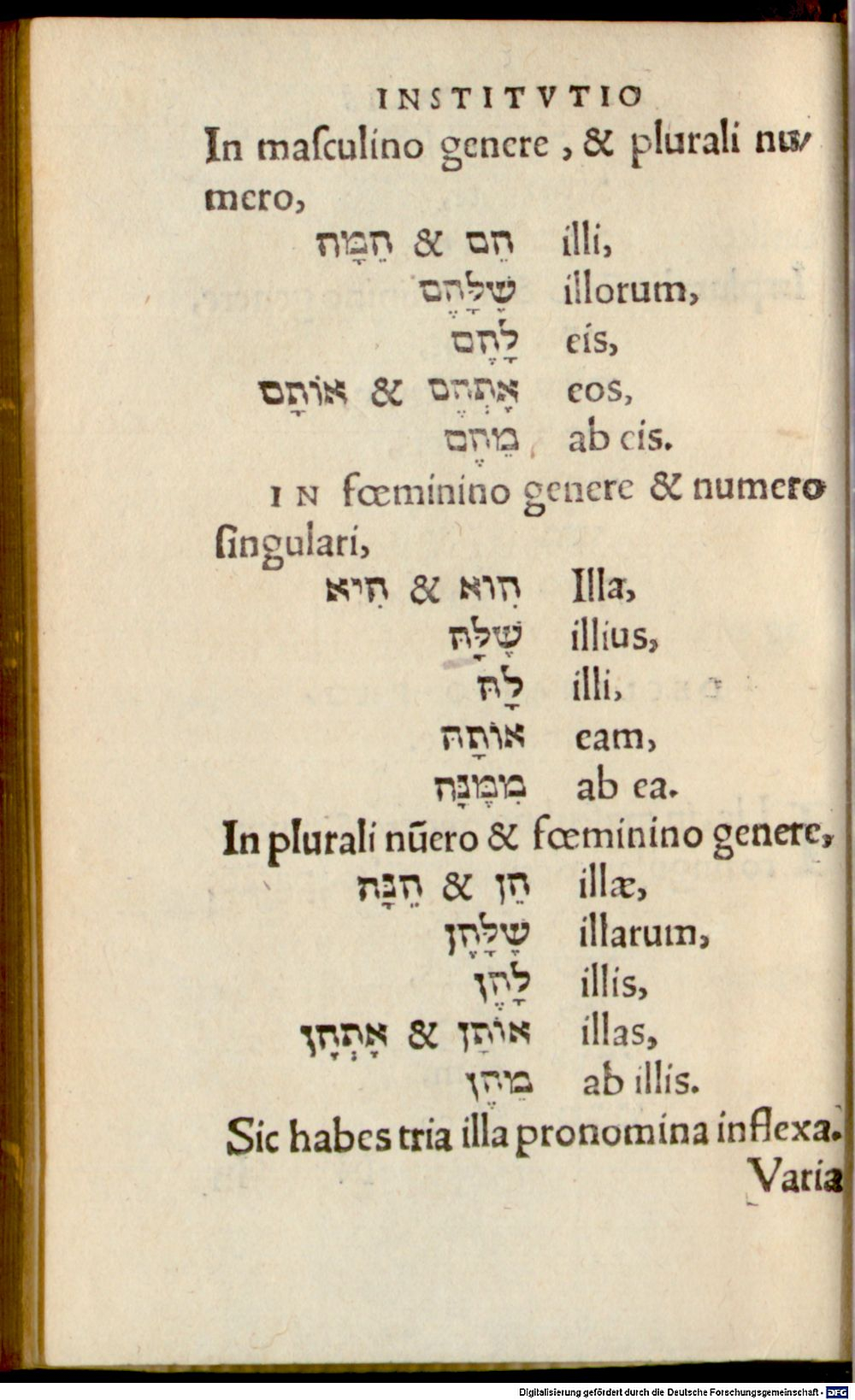 Image