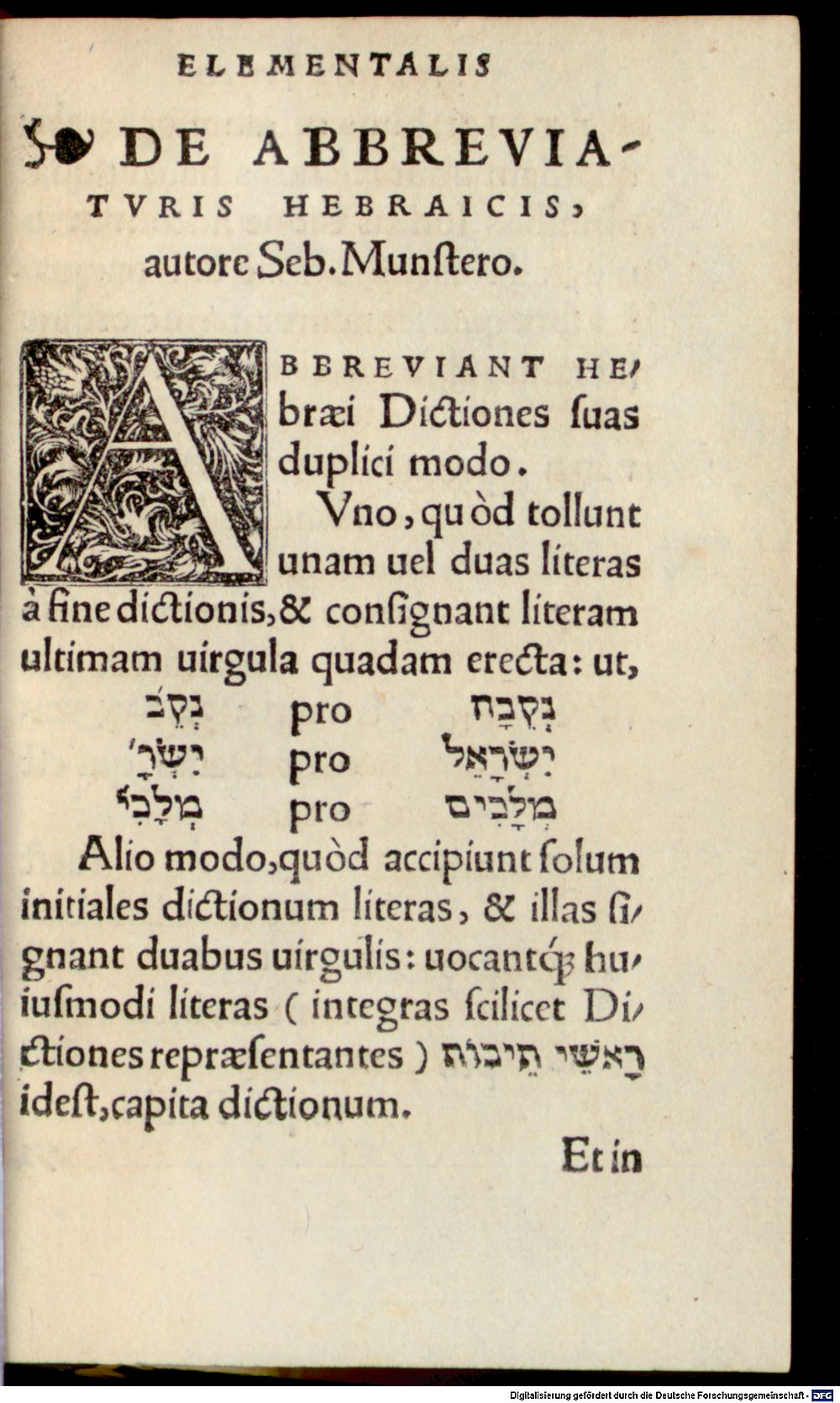 Image