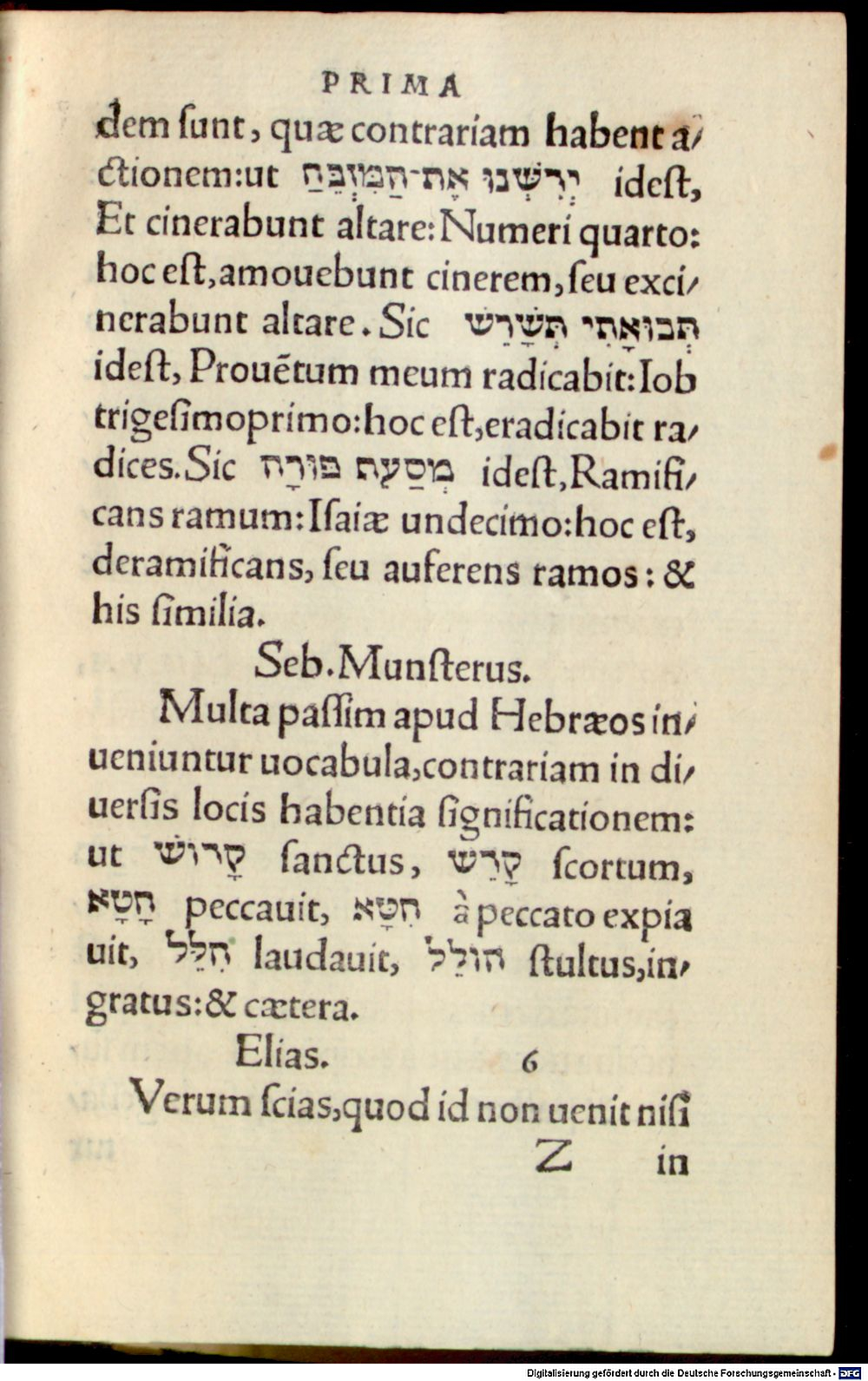 Image