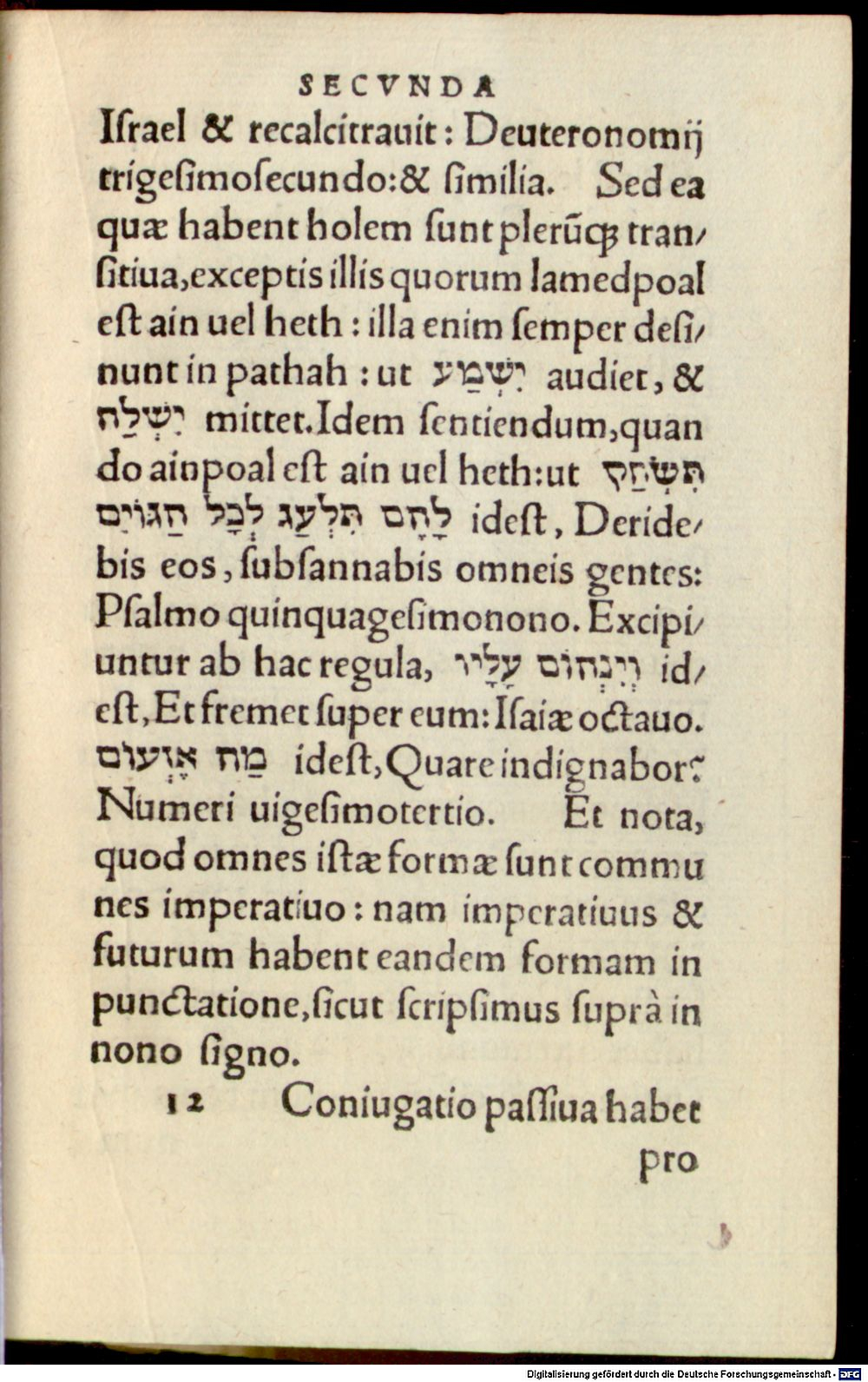 Image