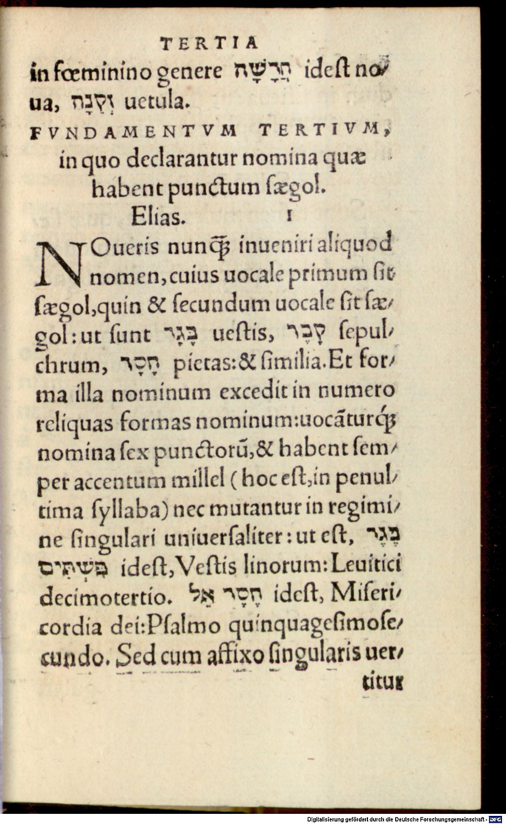 Image