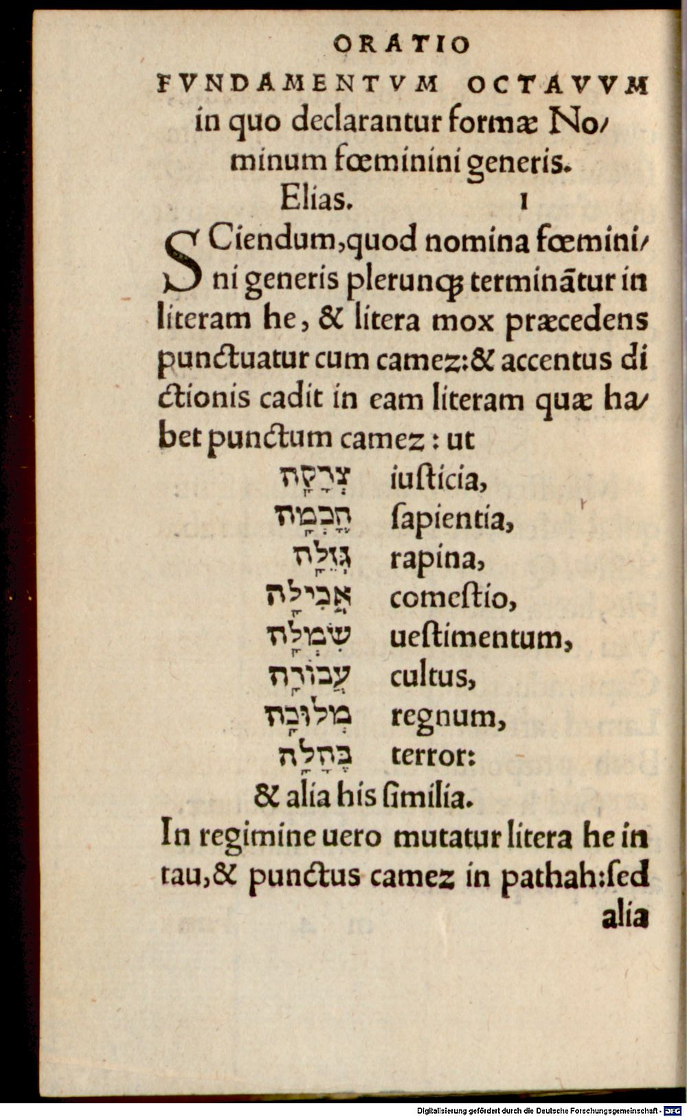 Image