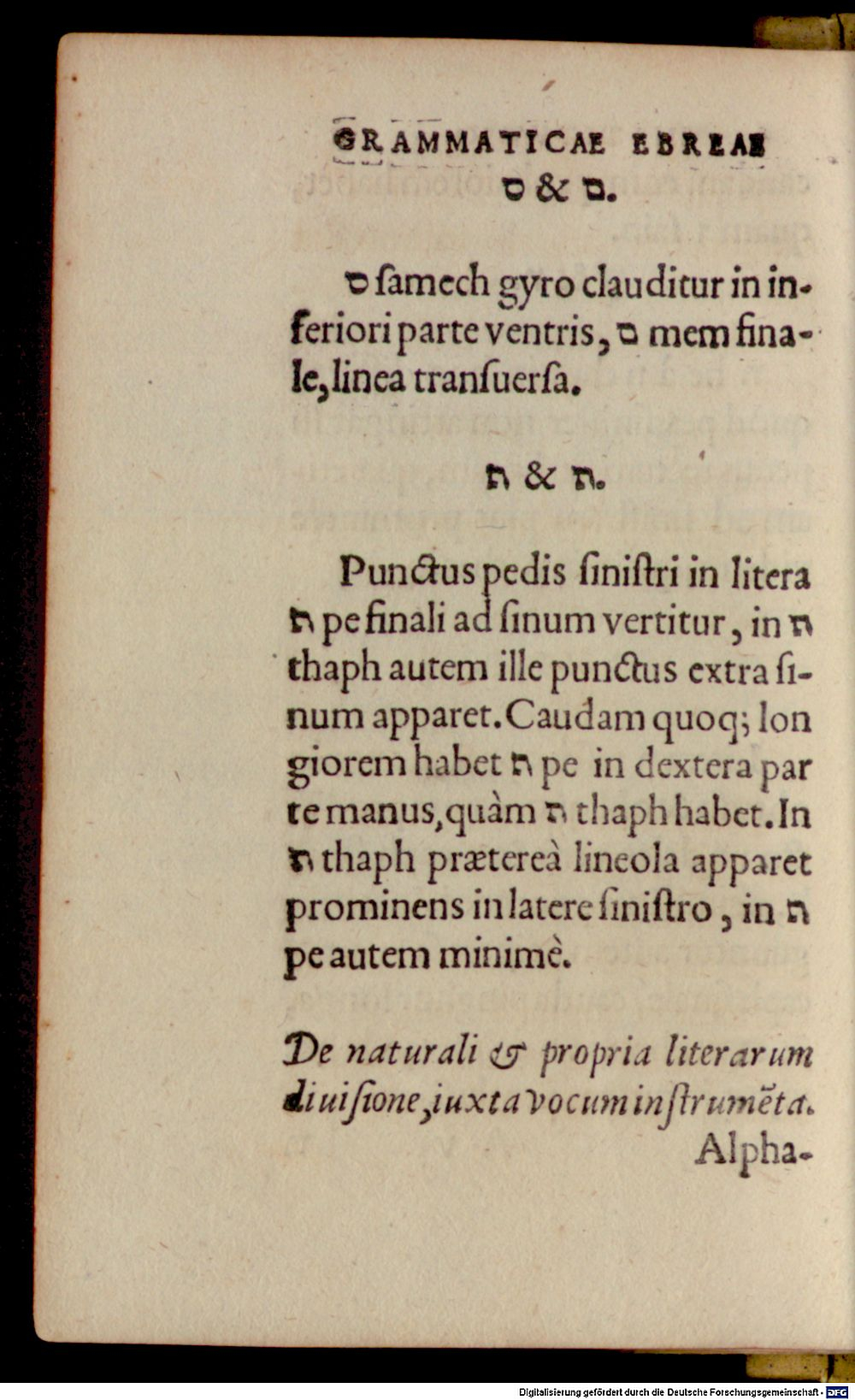 Image