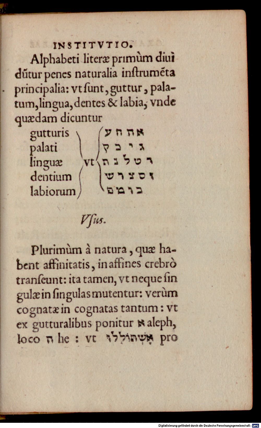 Image