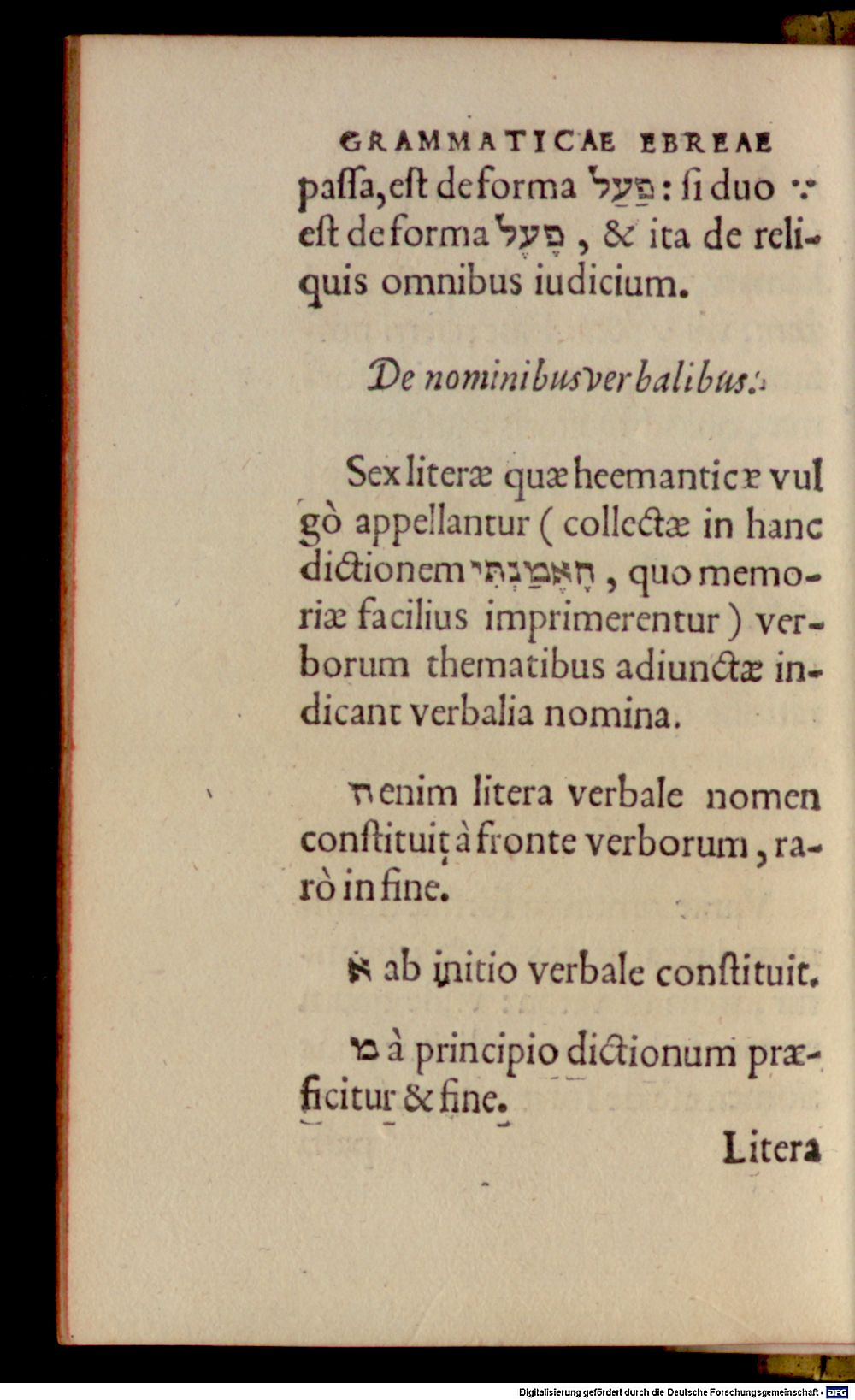 Image