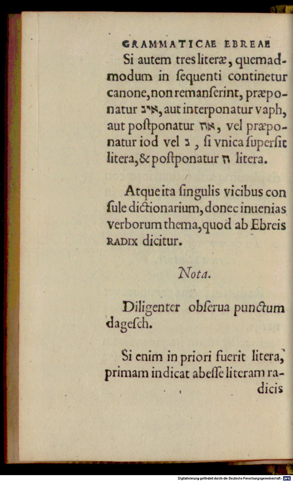 Image