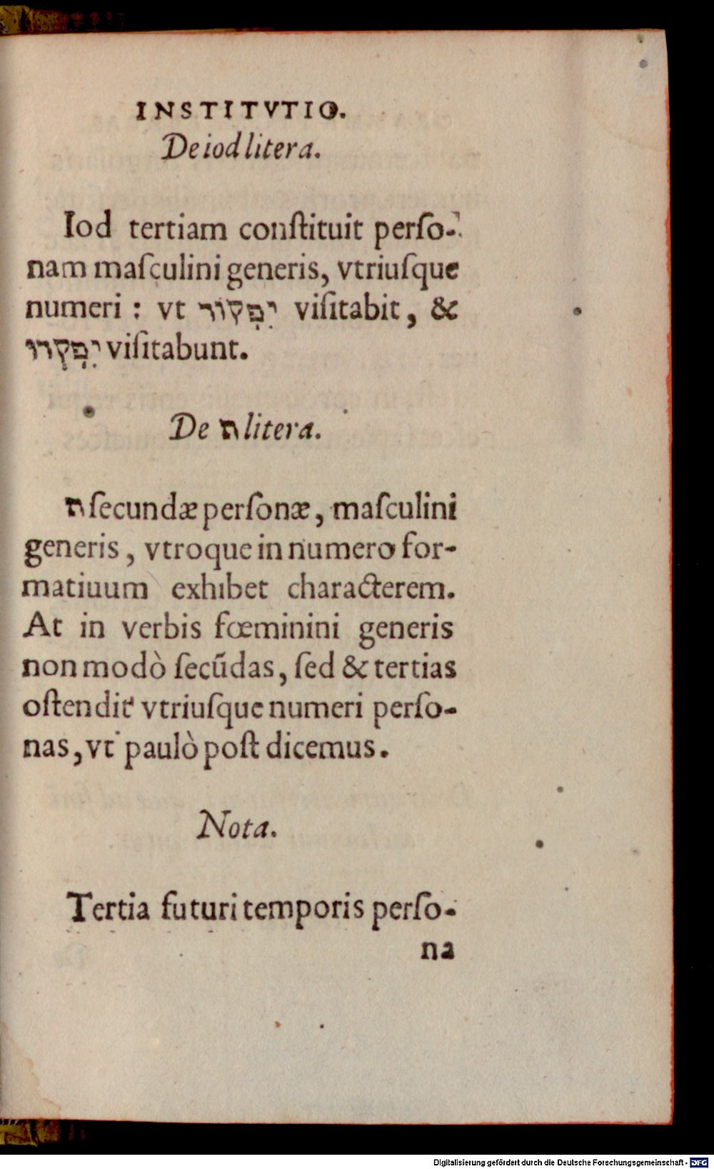 Image