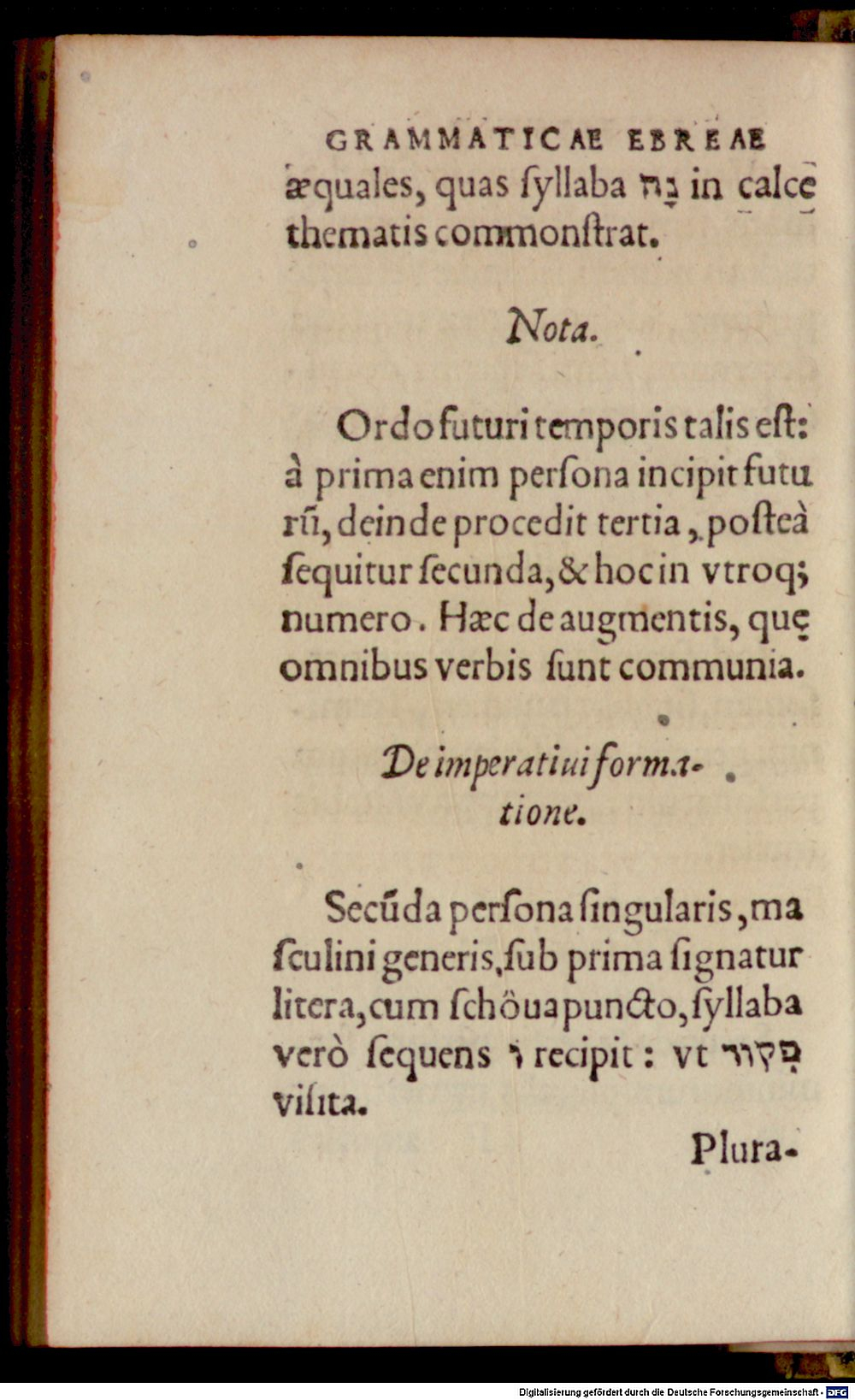 Image
