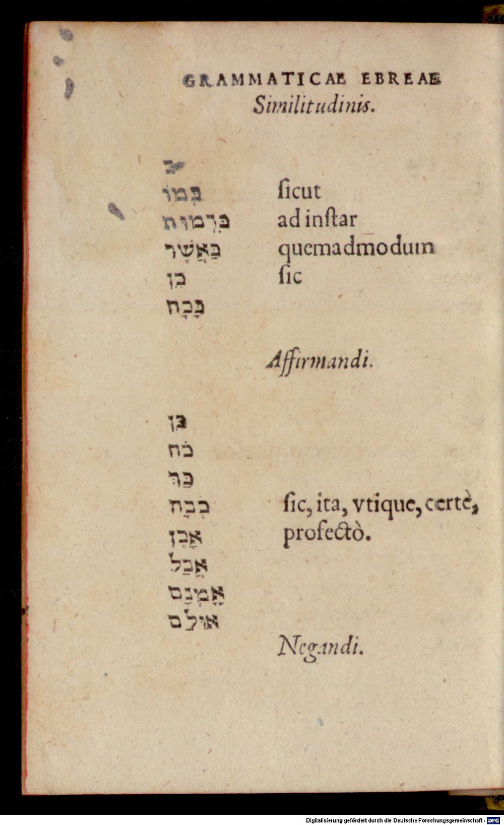 Image