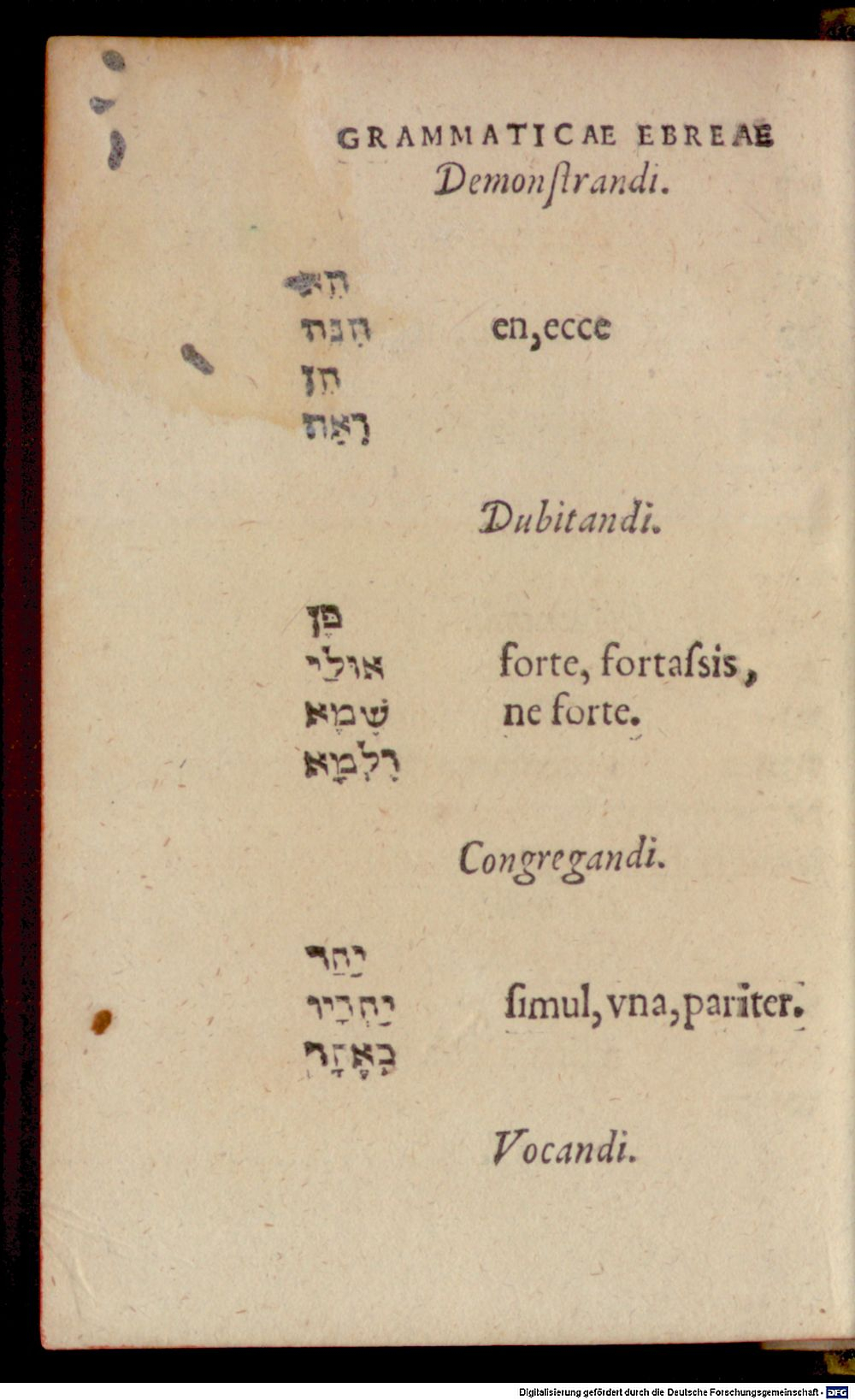 Image