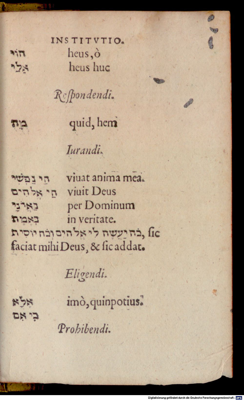Image