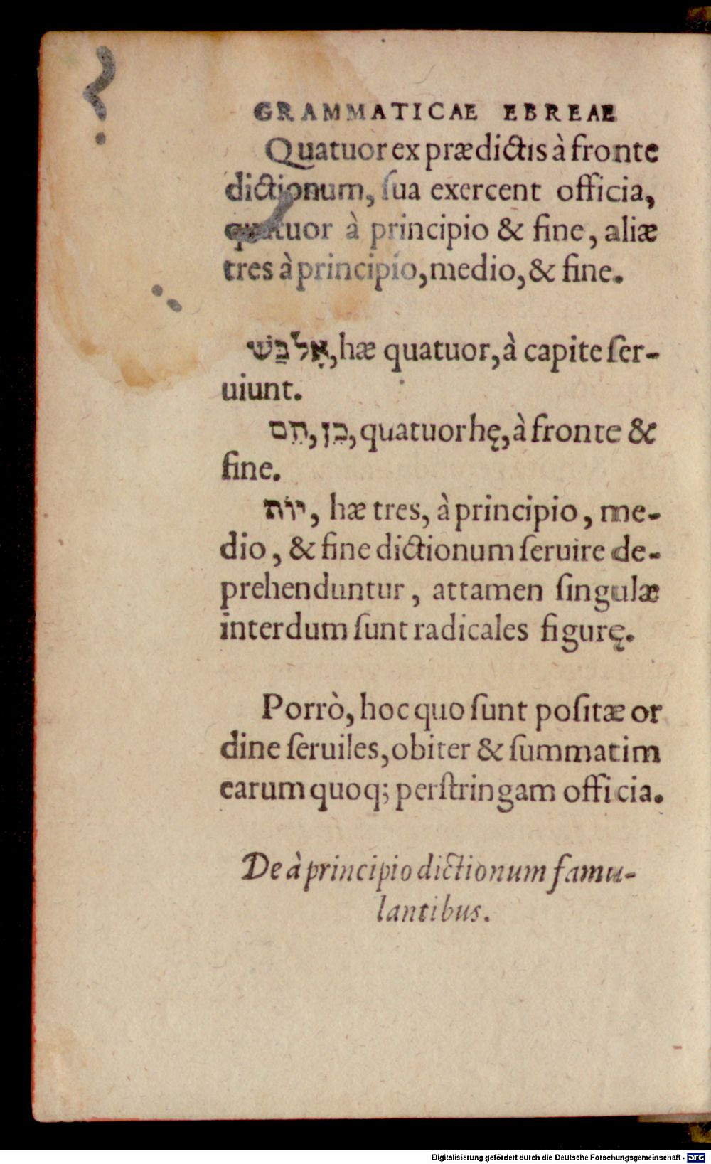 Image
