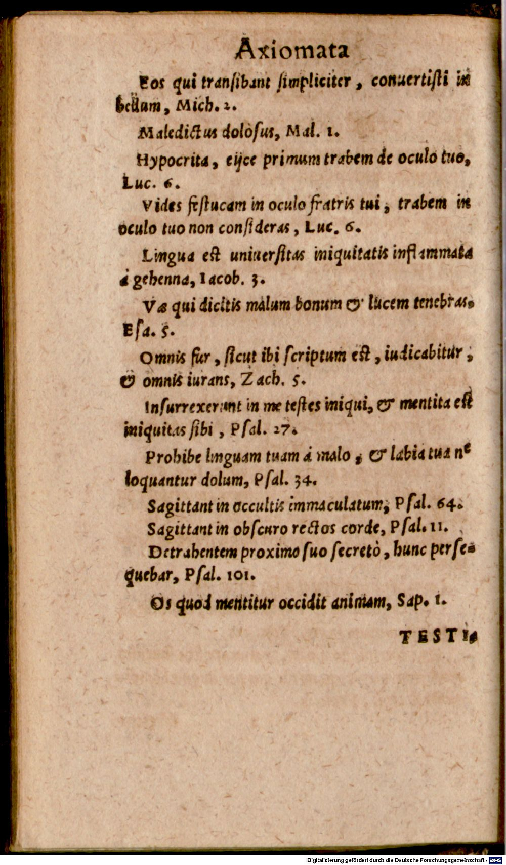 Image