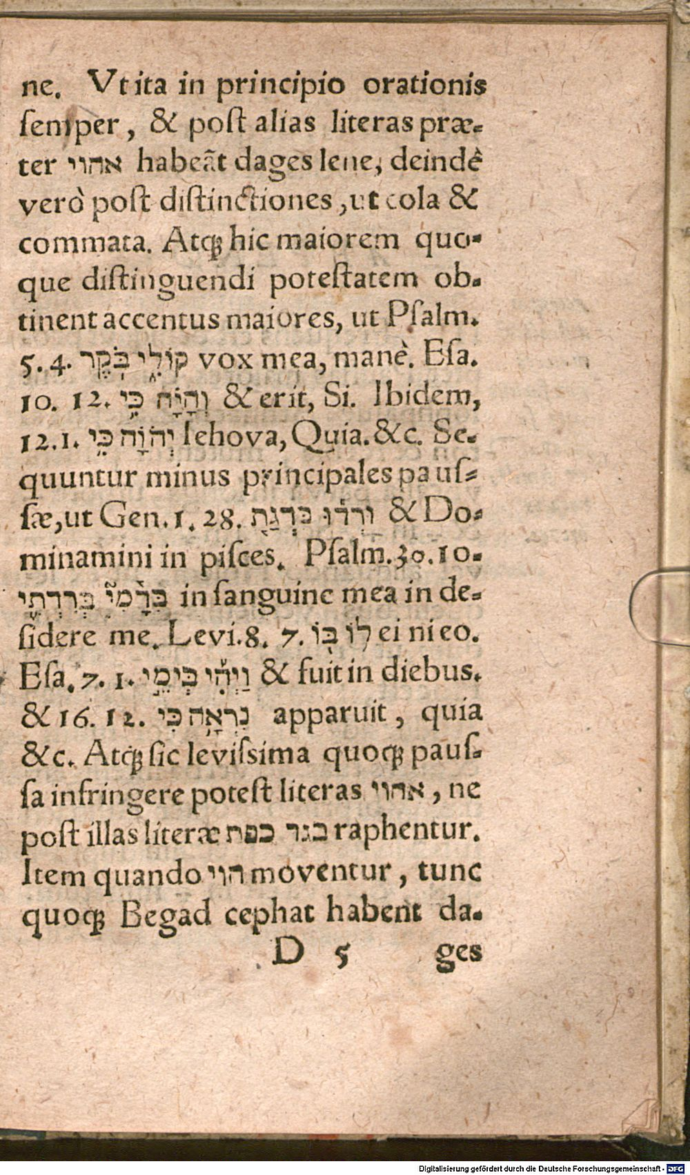 Image