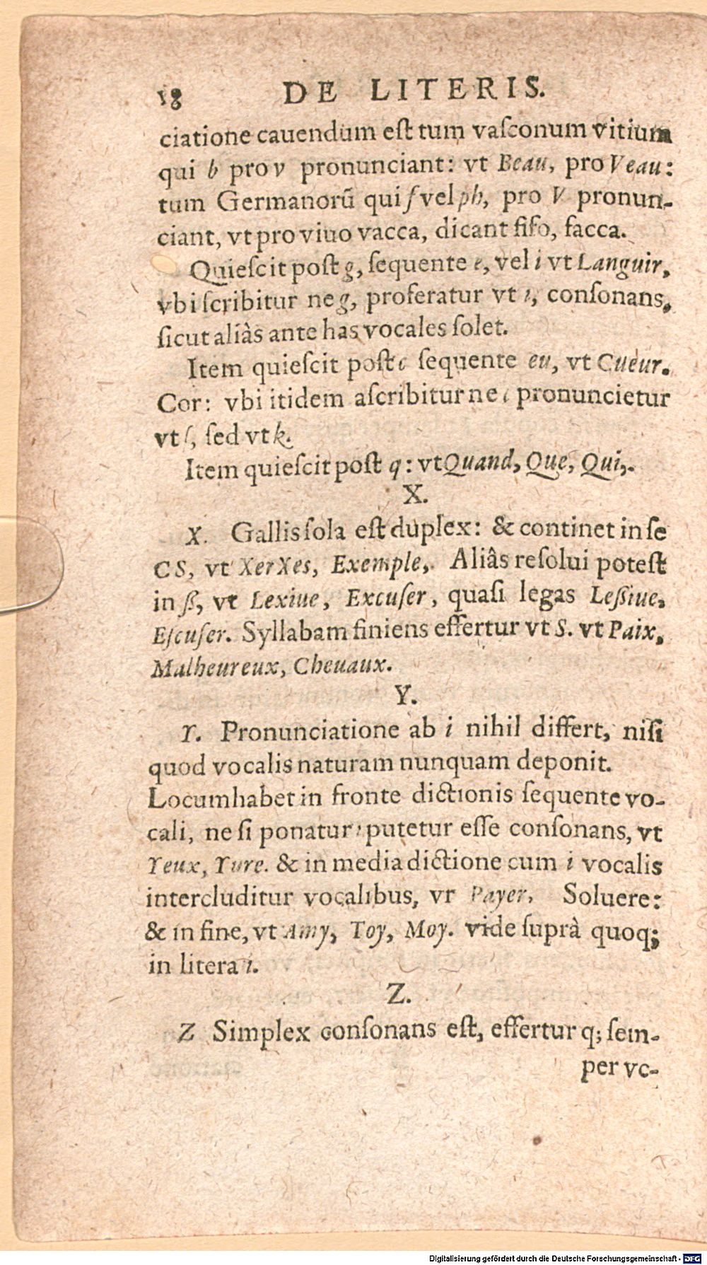 Image
