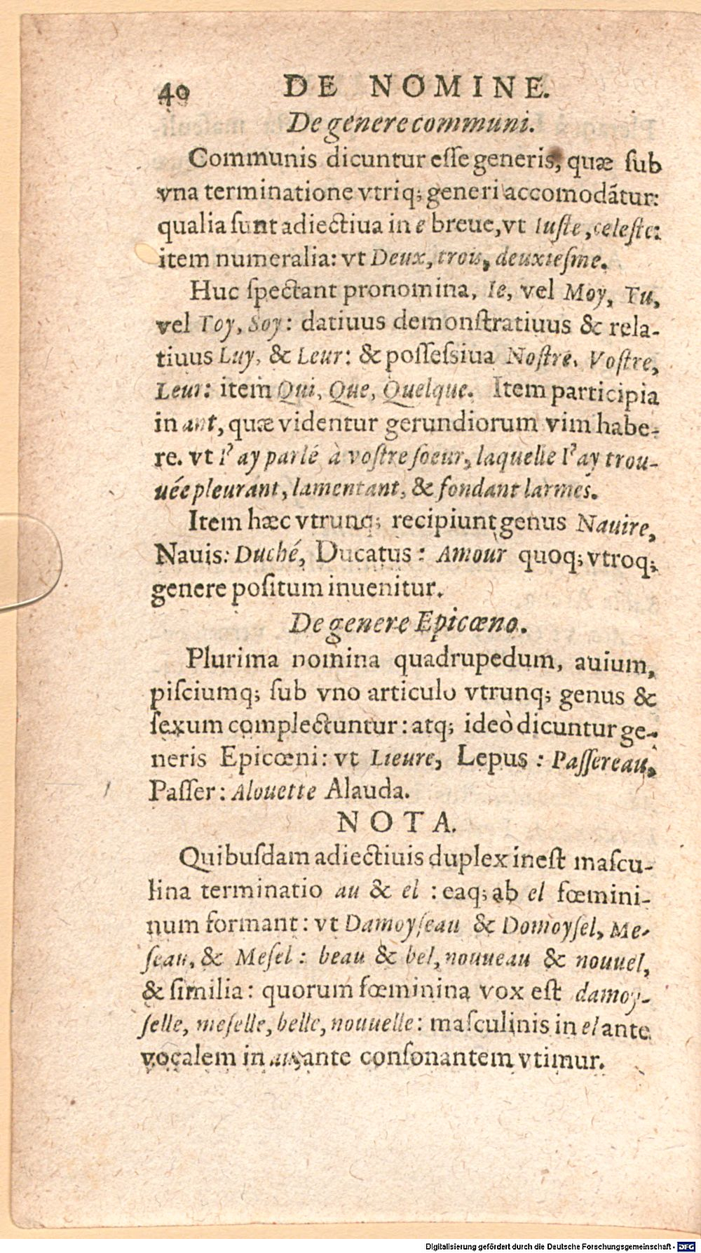 Image