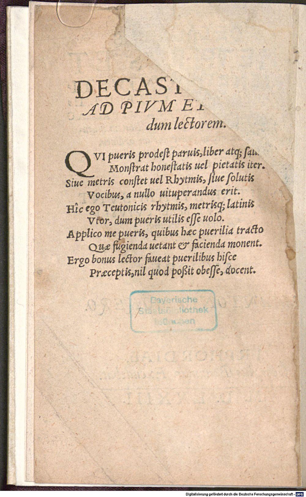 Image