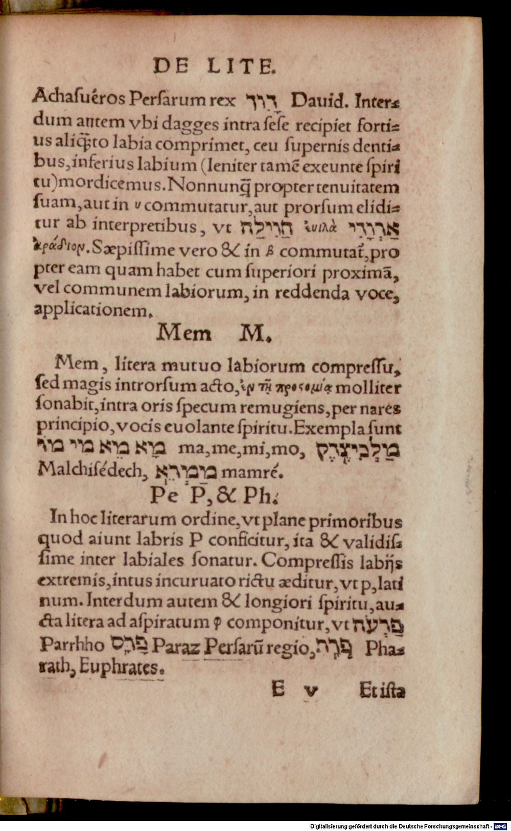 Image