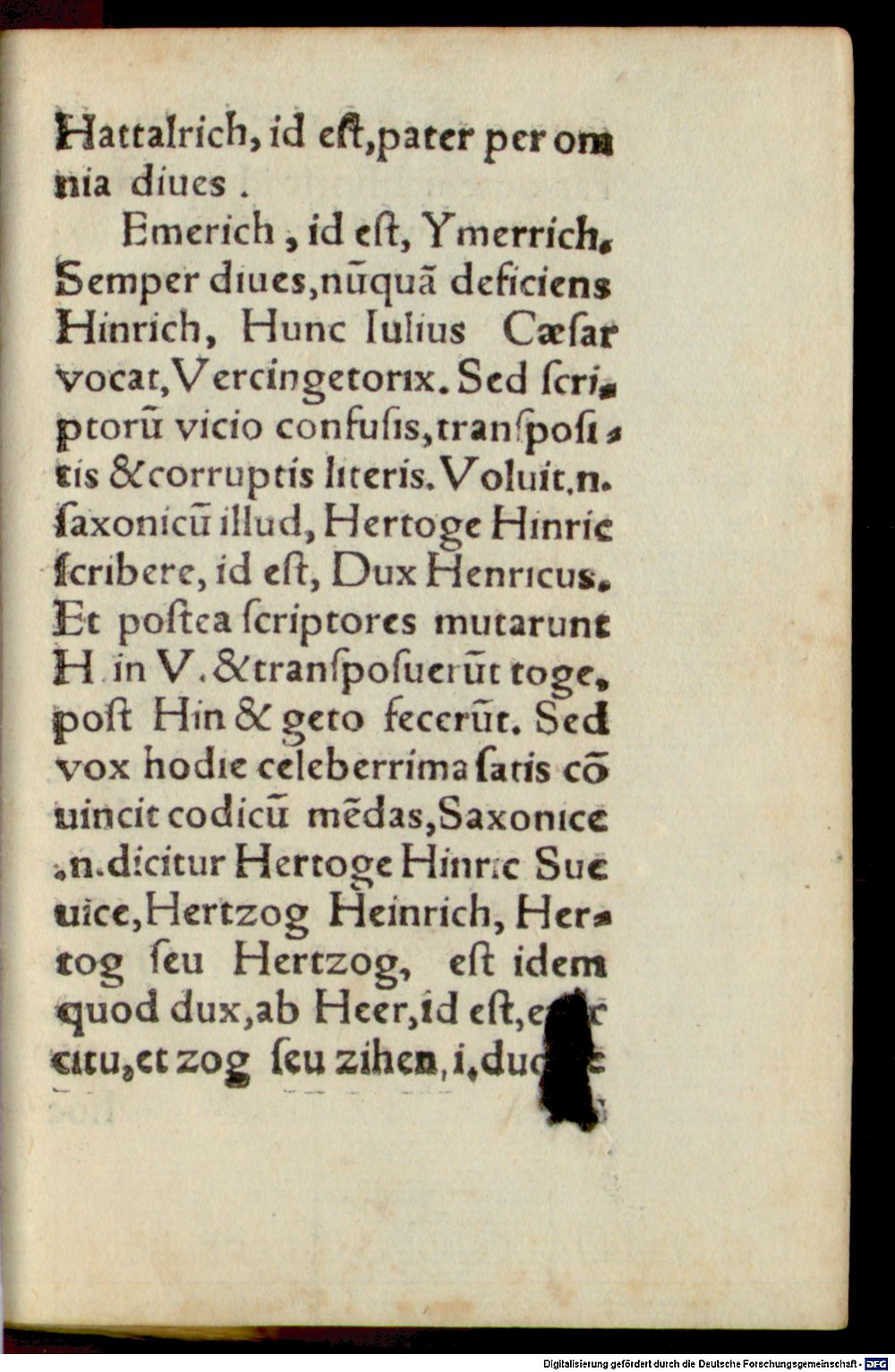 Image