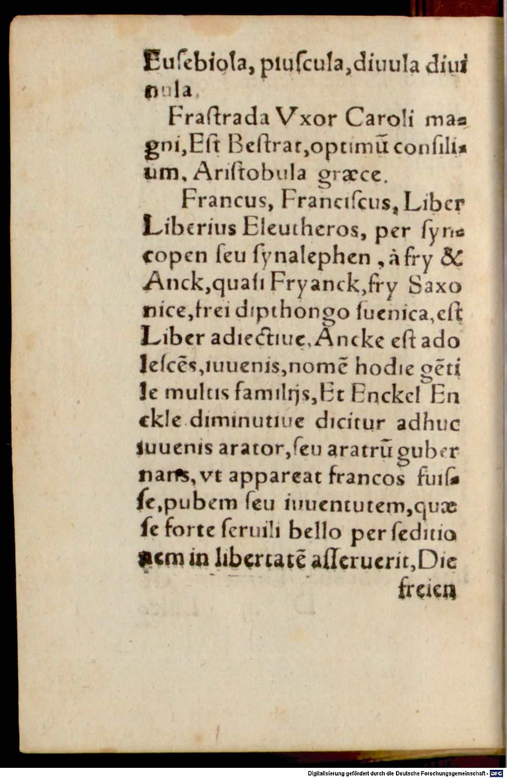 Image