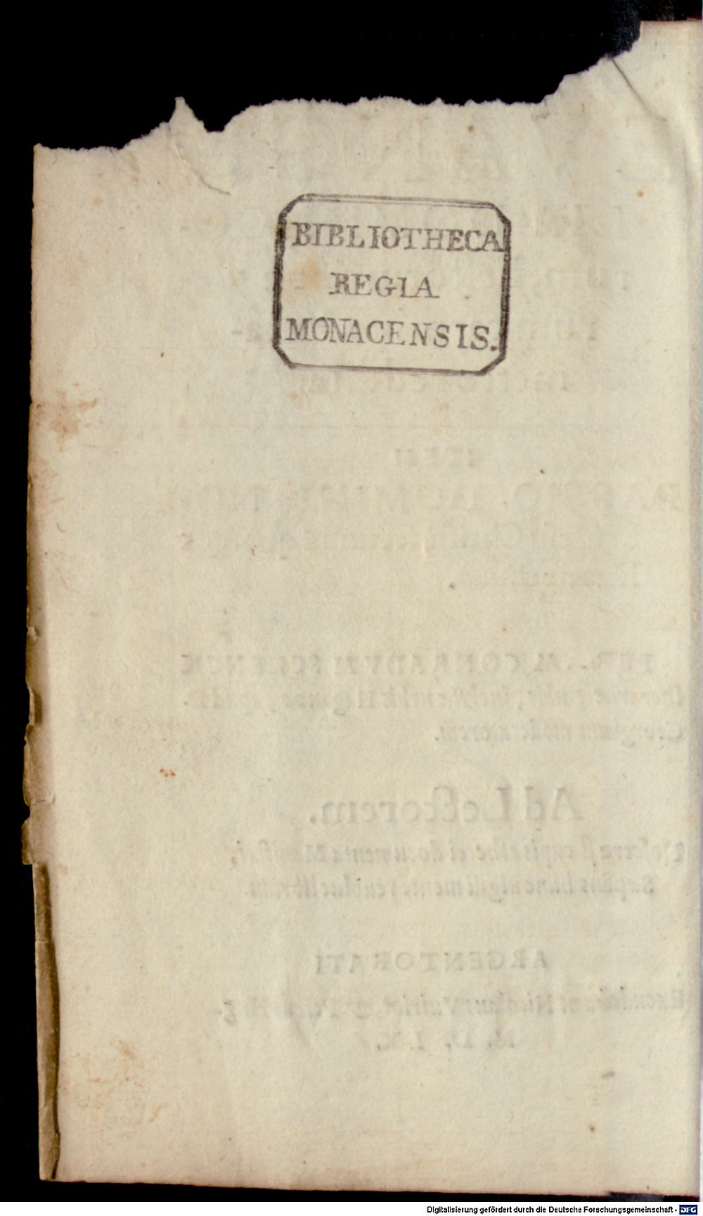 Image