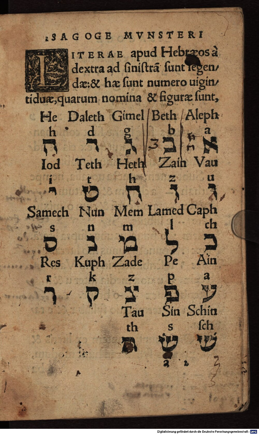 Image