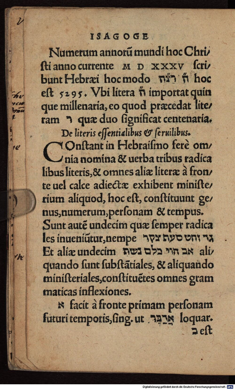 Image