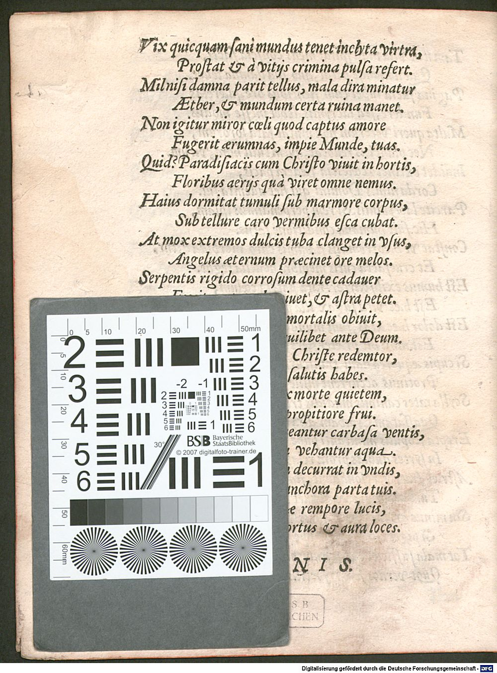 Image