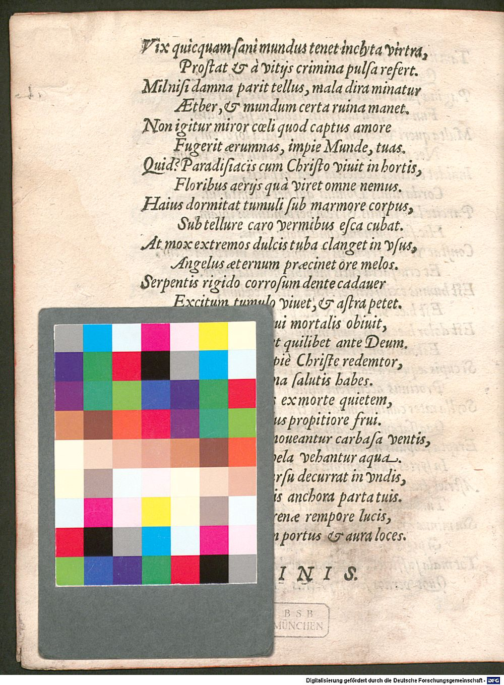 Image