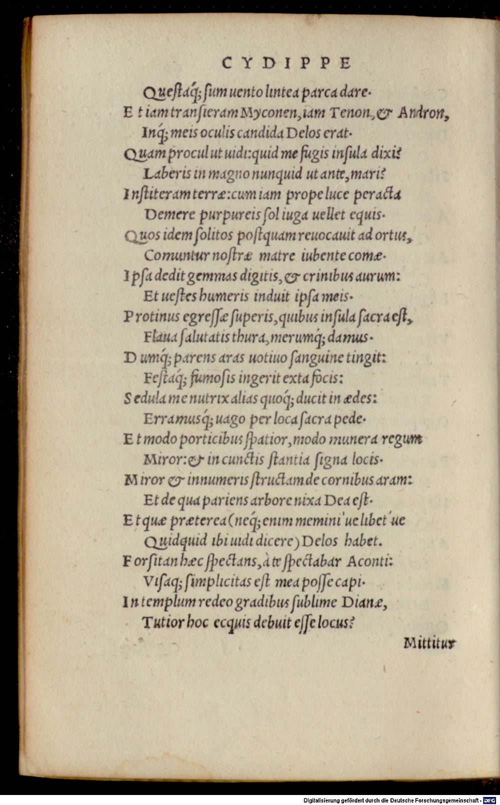 Image