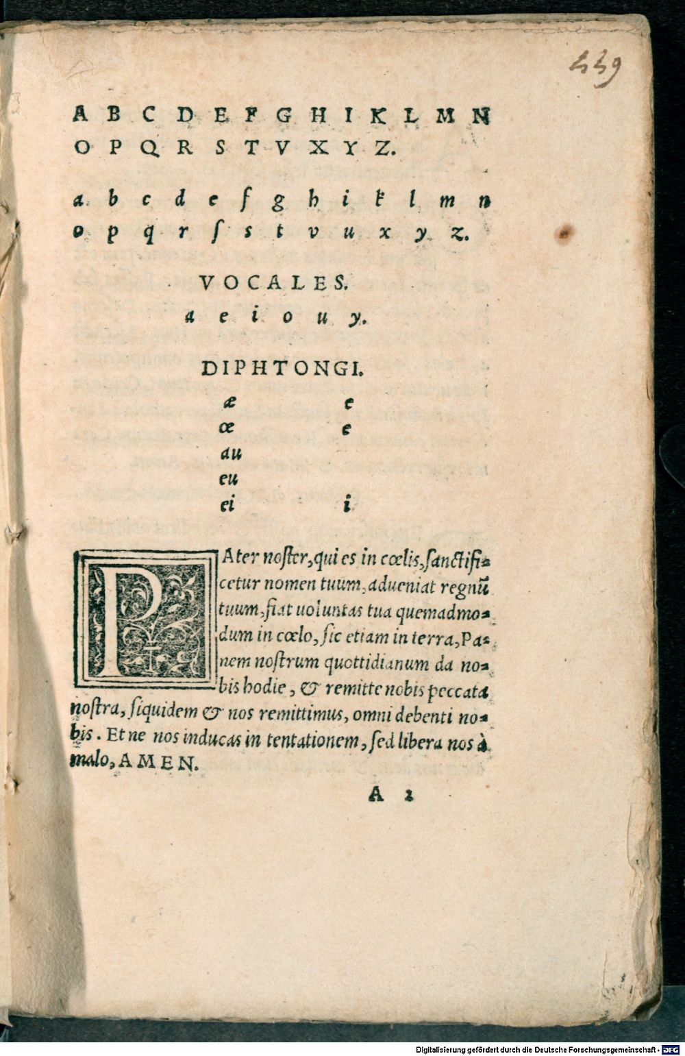 Image