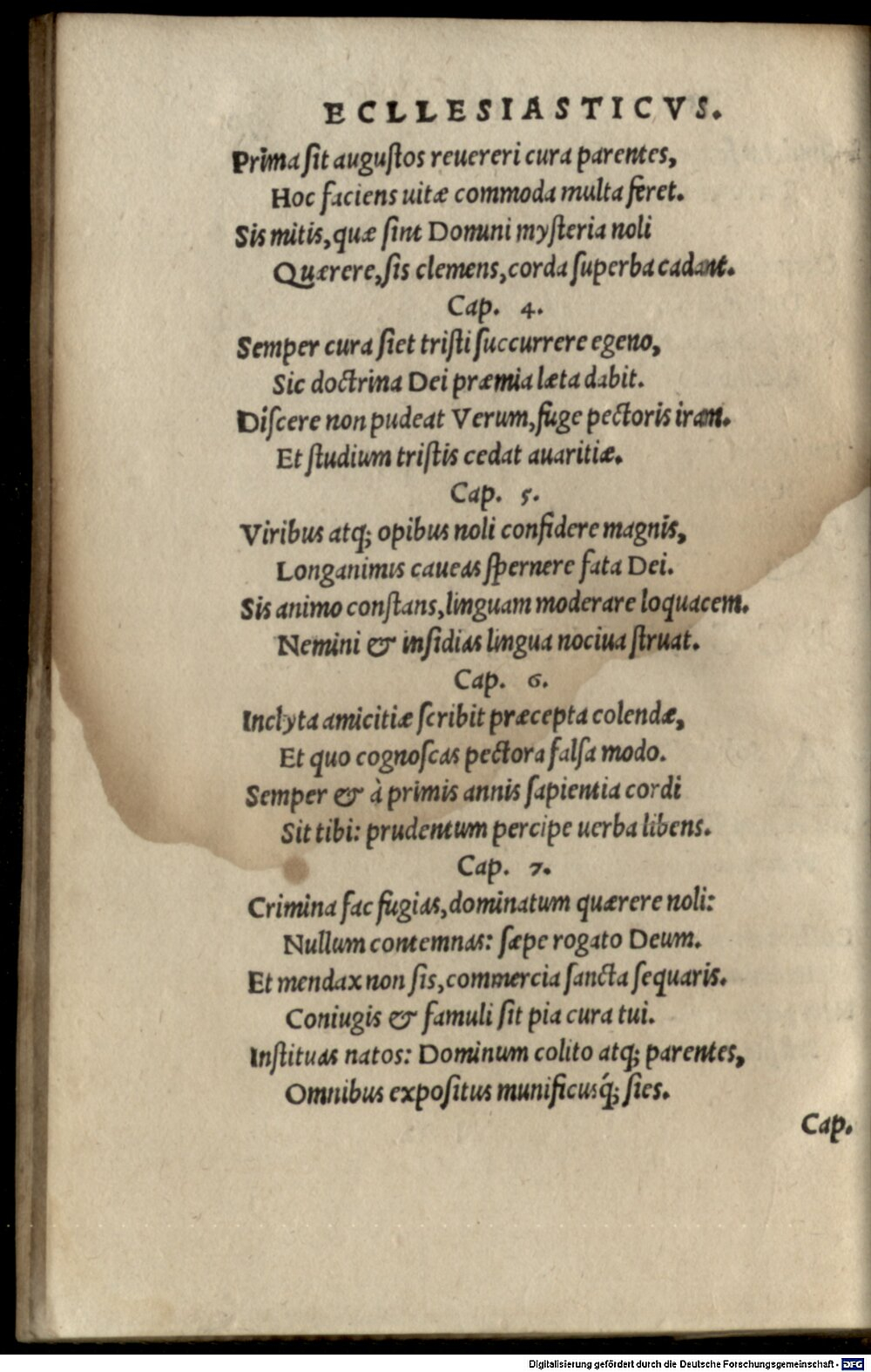 Image