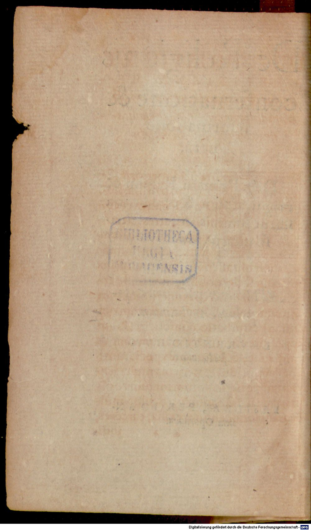 Image