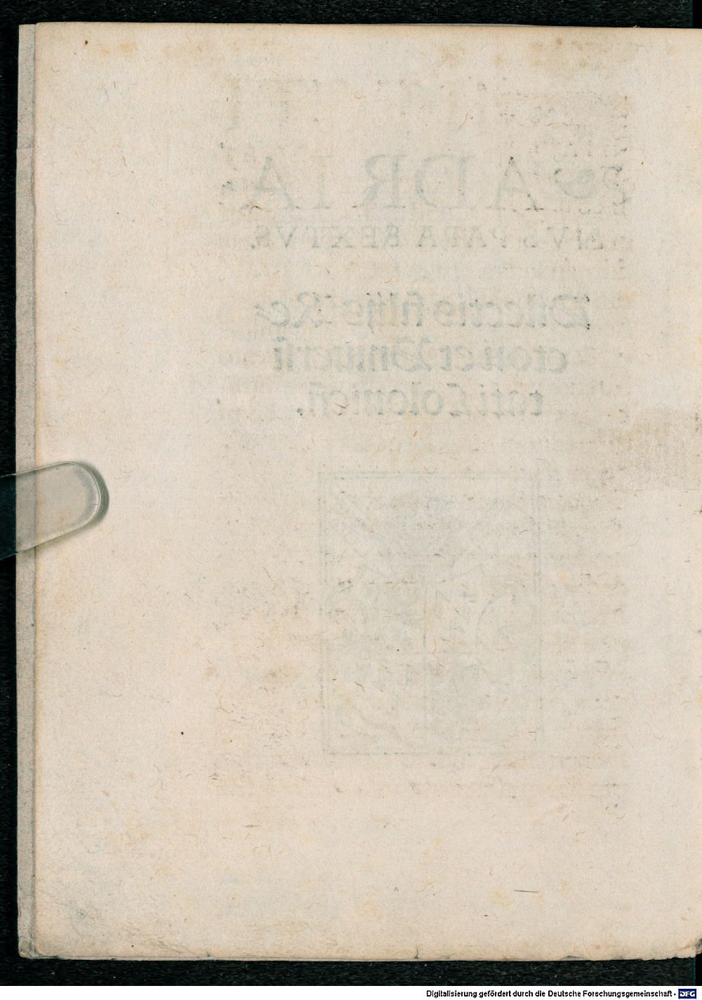 Image