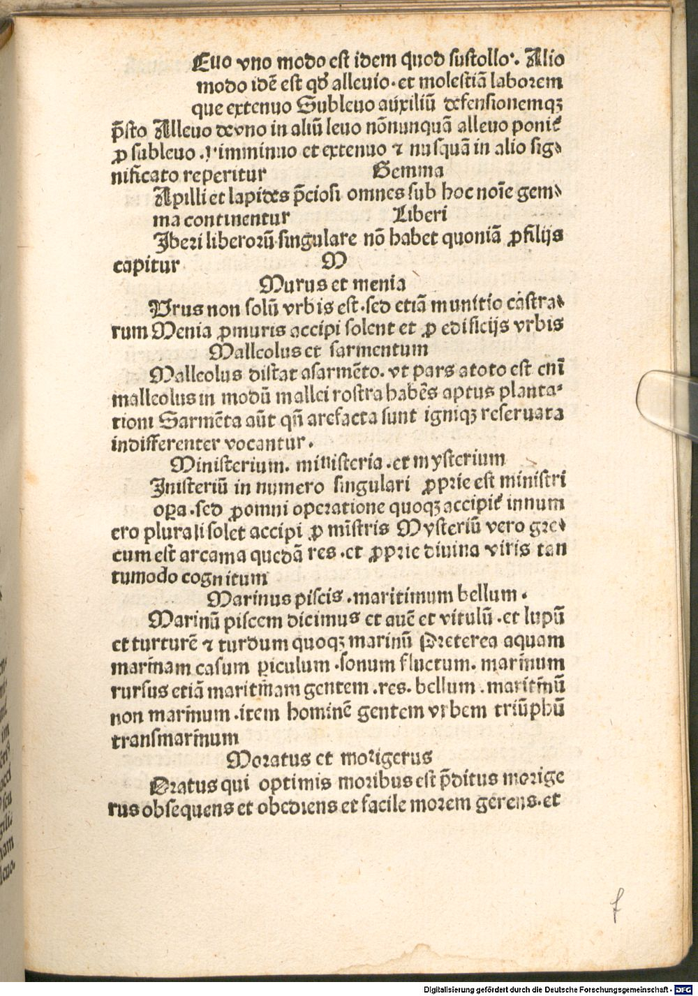 Image