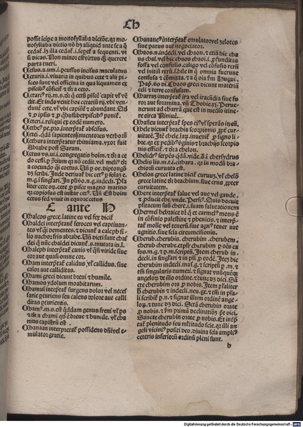 Image