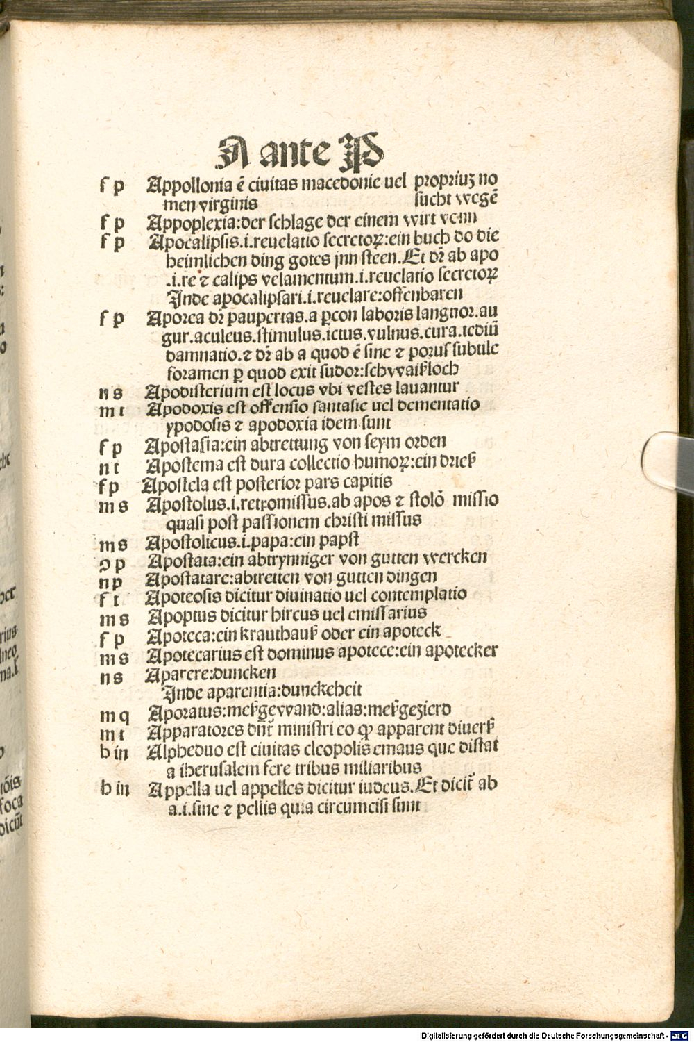 Image