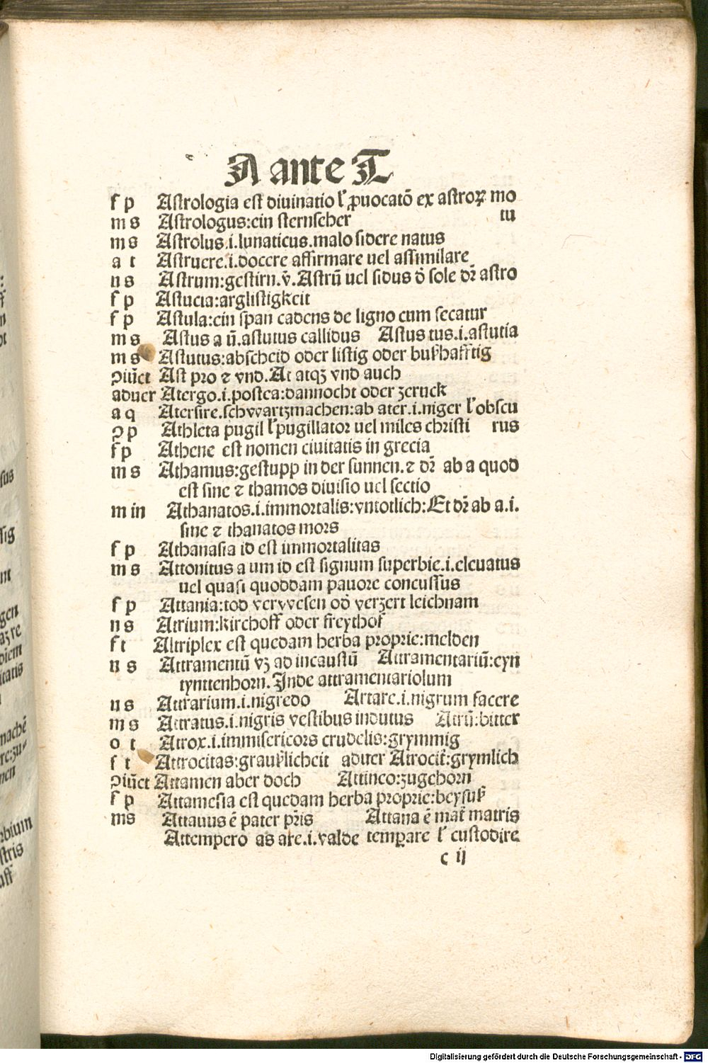 Image