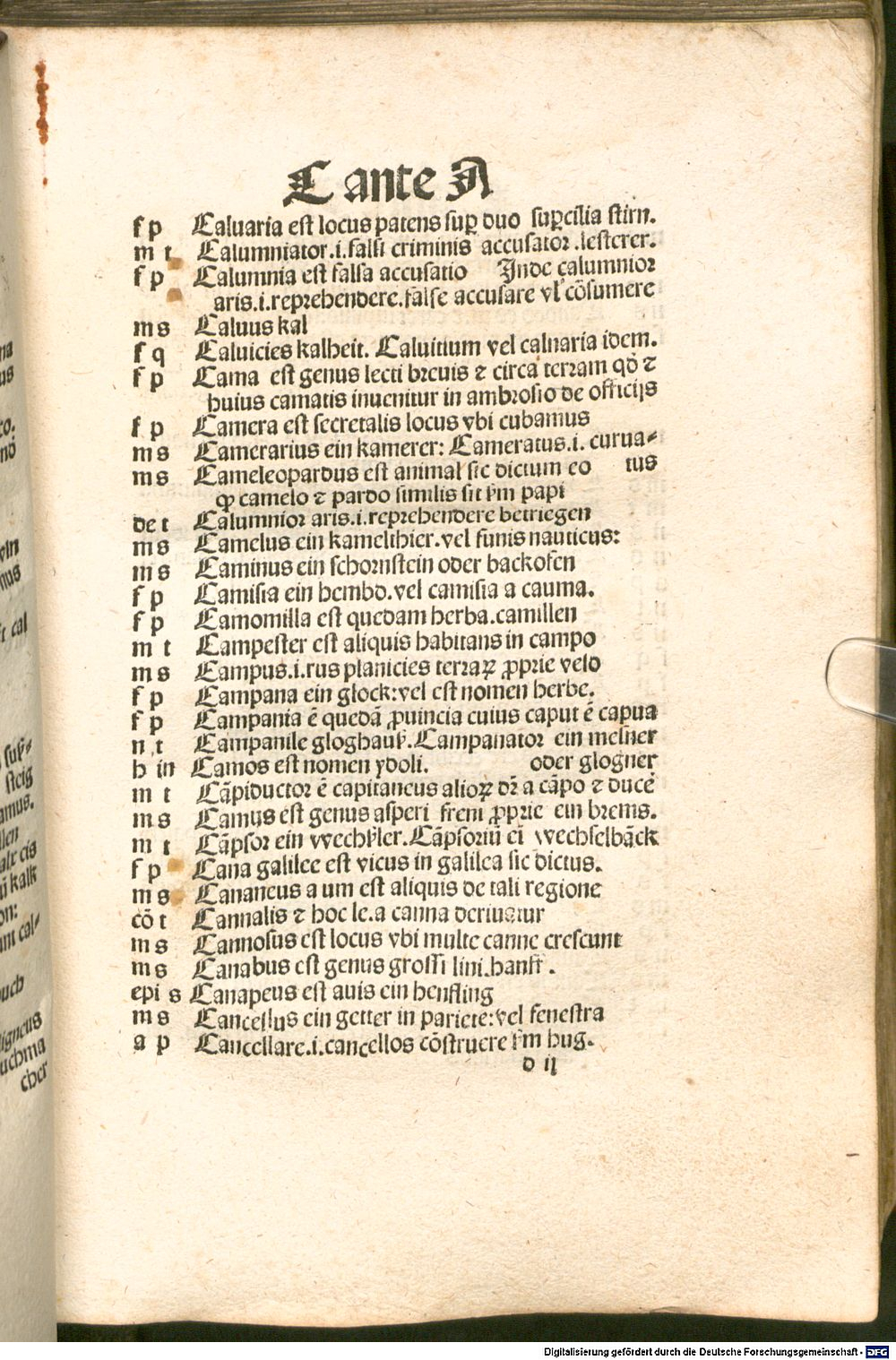 Image