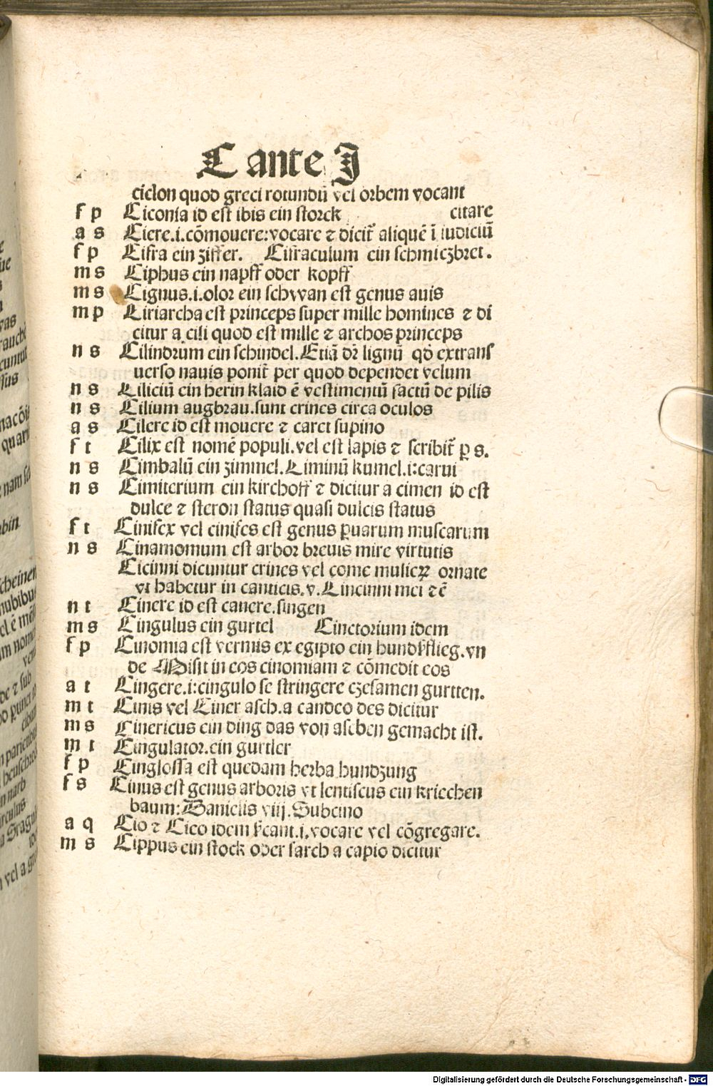 Image