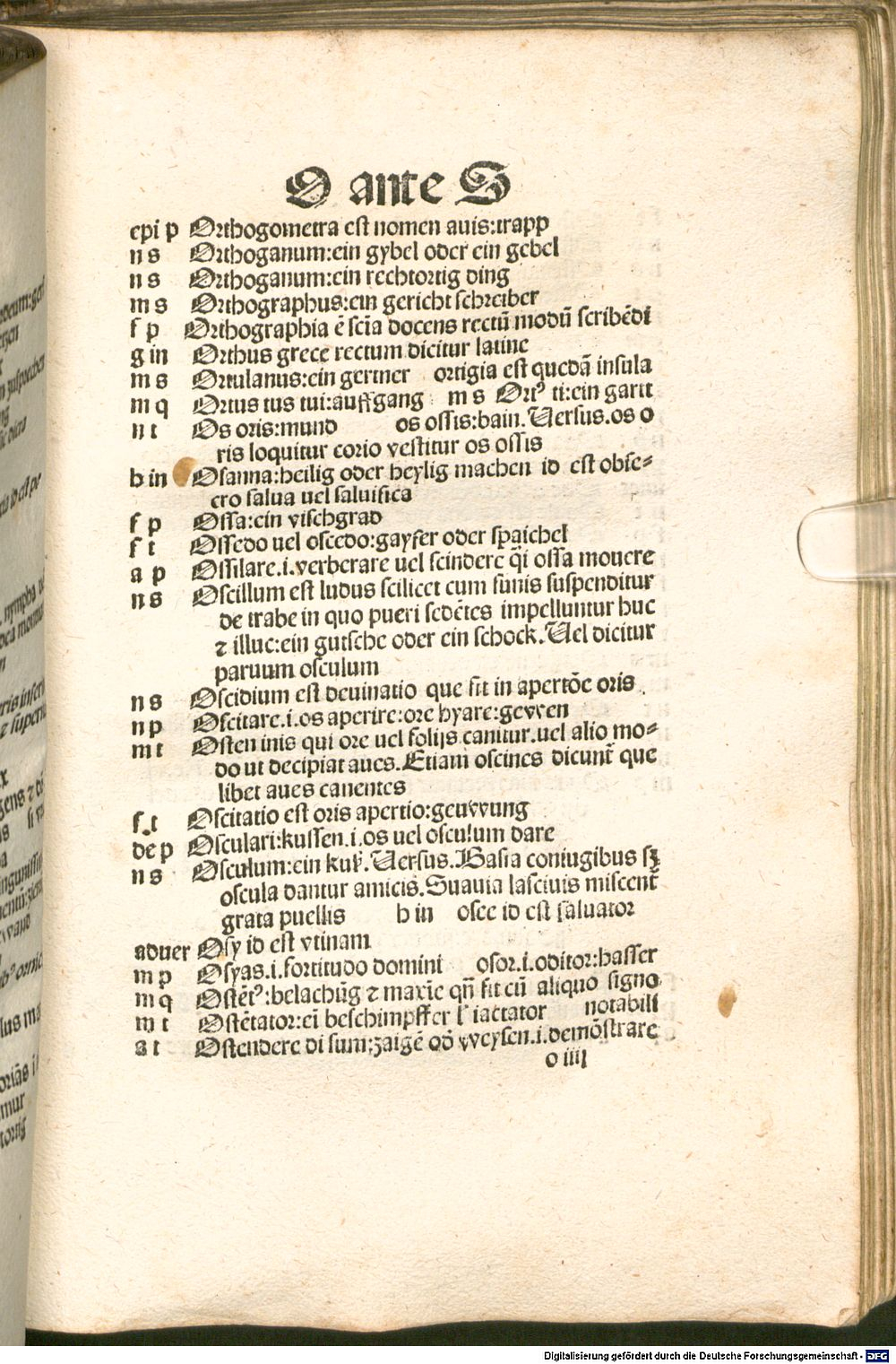 Image