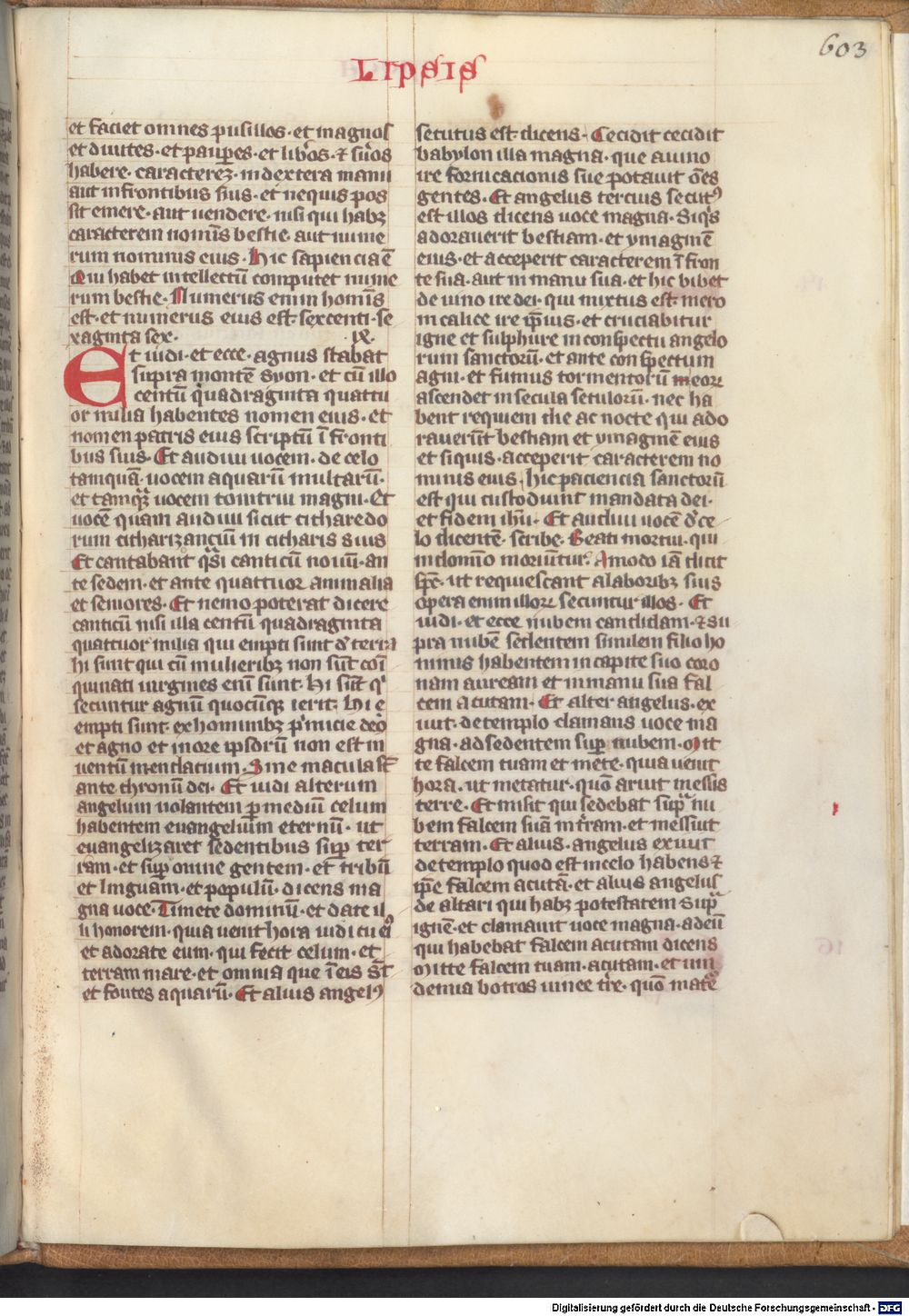 Image