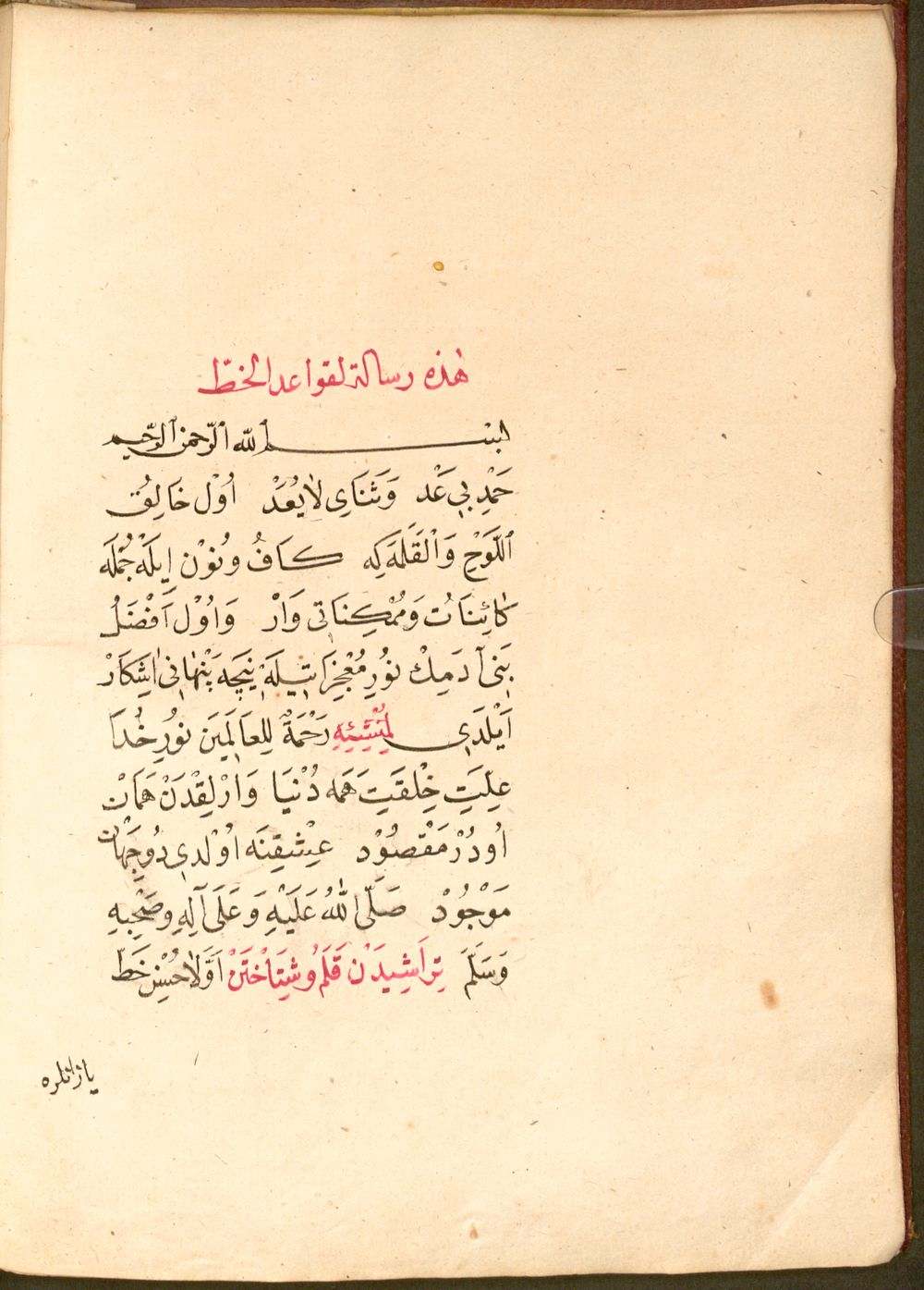 Image