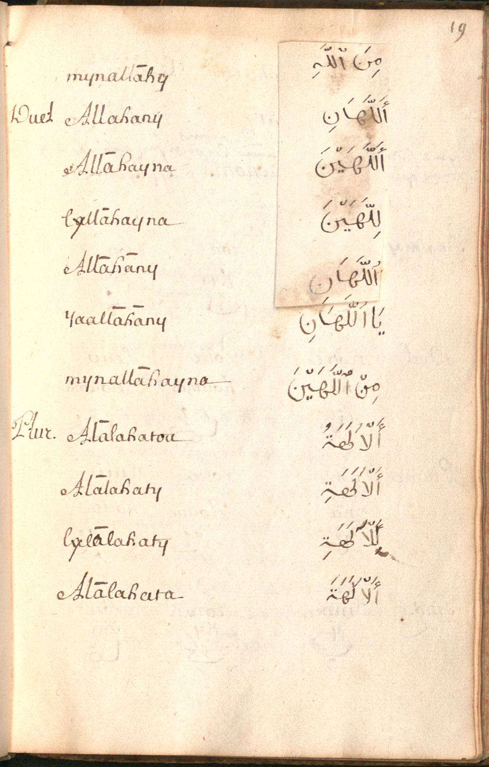 Image