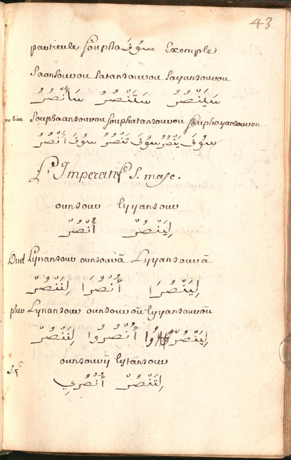 Image