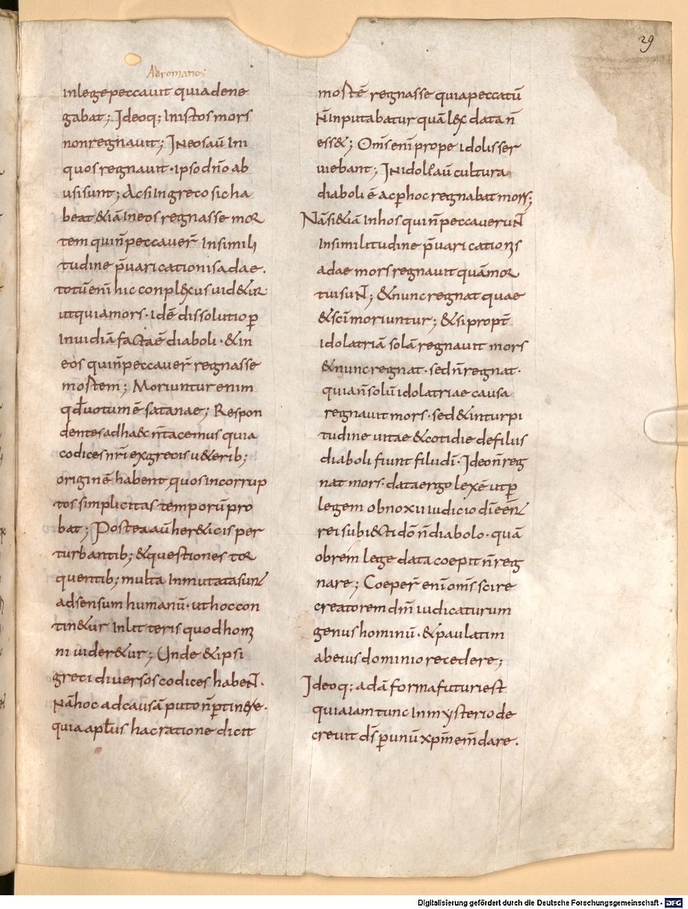 Image