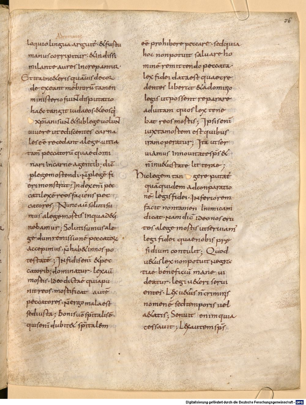Image