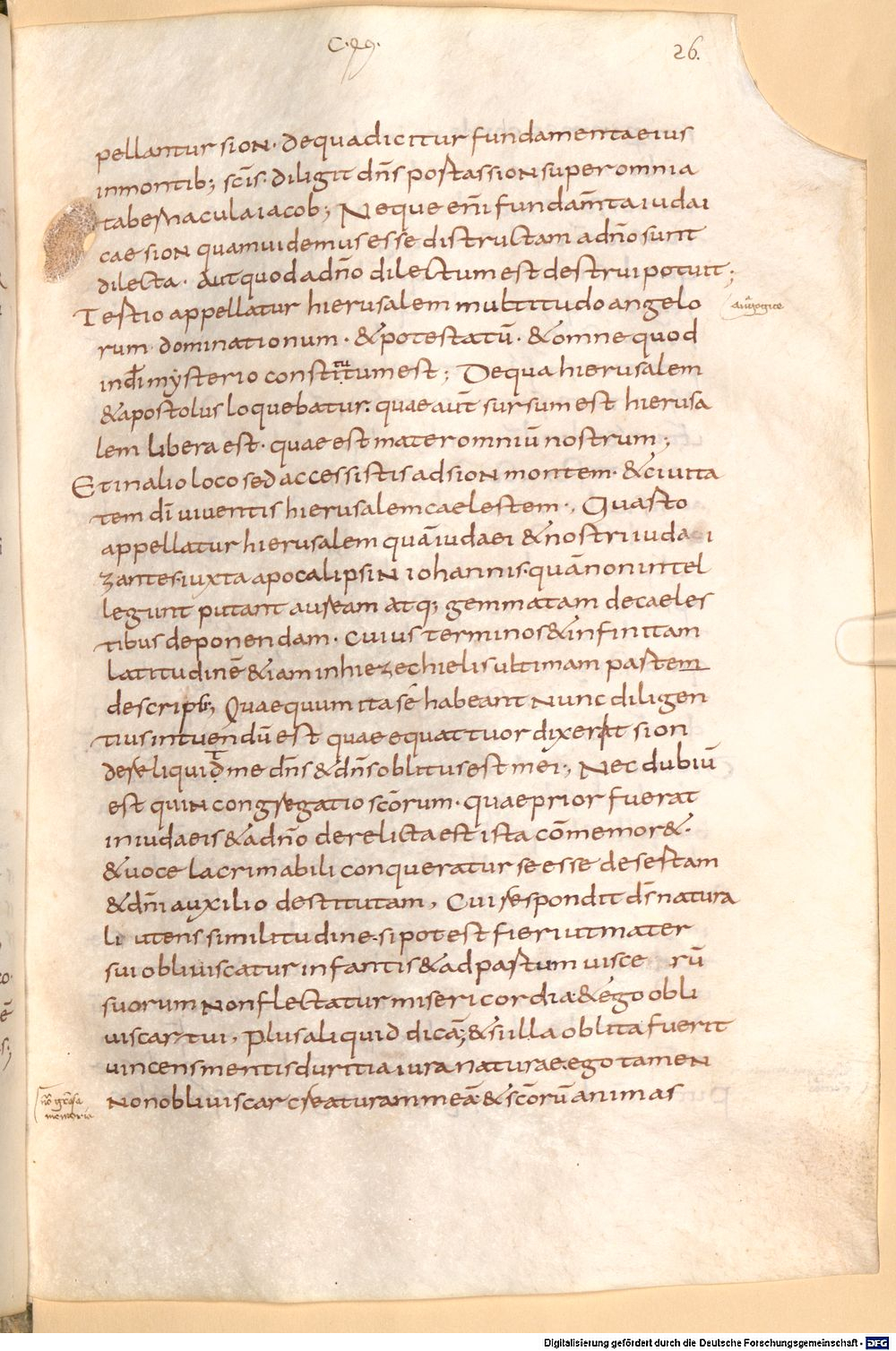 Image